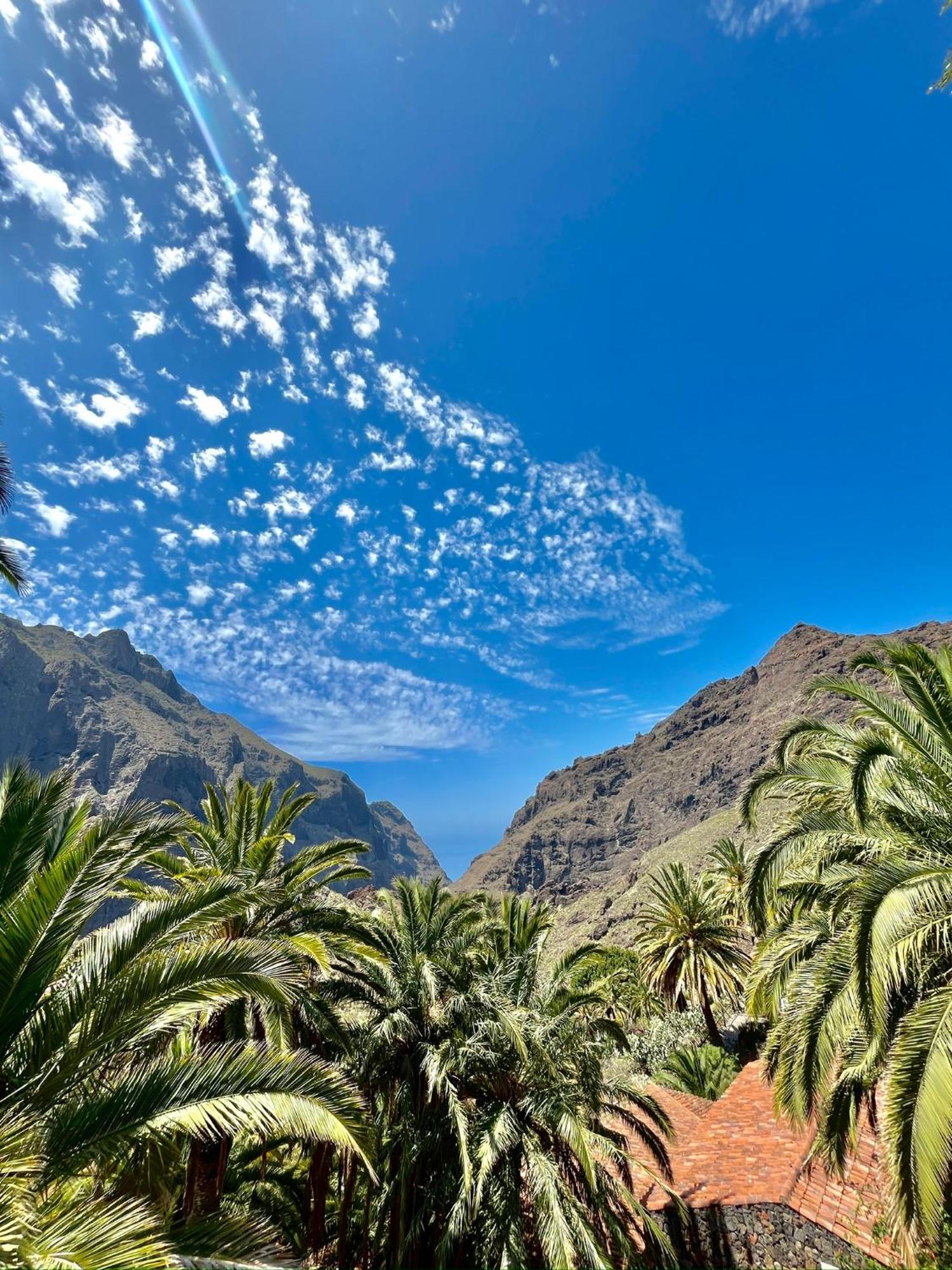 Tenerife Playa La Arena Puerto de Santiago  Esterno foto